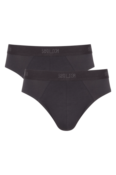 SLG Base Brief C2P