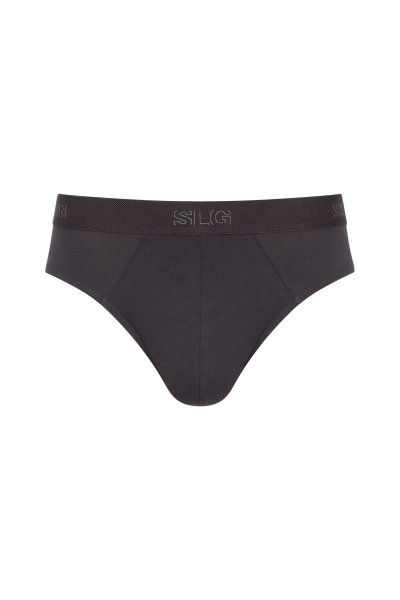 SLG Base Brief C2P