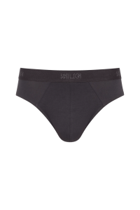 SLG Base Brief C2P