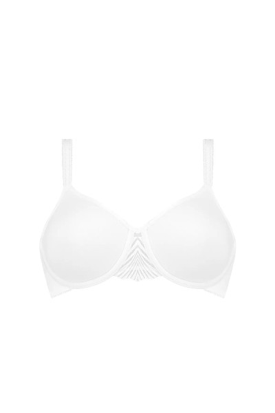 My Perfect Shaper WP