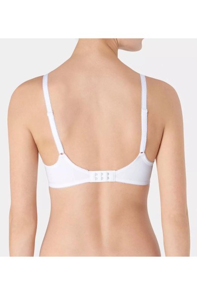 My Perfect Shaper WP