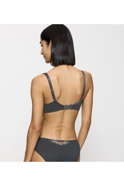 Wild Iris Florale WHP