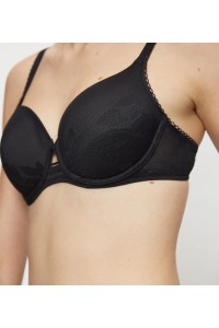 Wild Rose Sensation WP