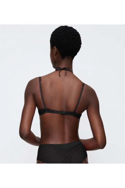 That Night In Vegas WHP