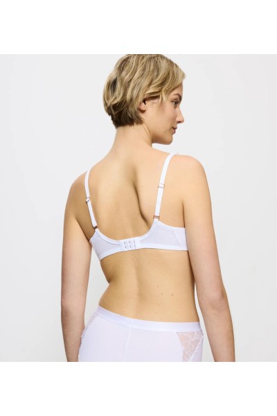 Wild Azalea Florale WP