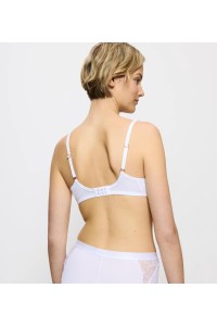 Wild Azalea Florale WP