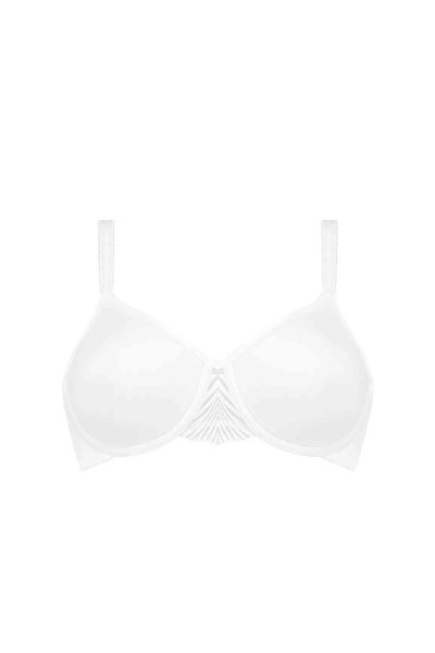 My Perfect Shaper WP