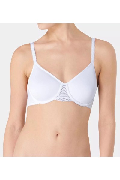 My Perfect Shaper WP